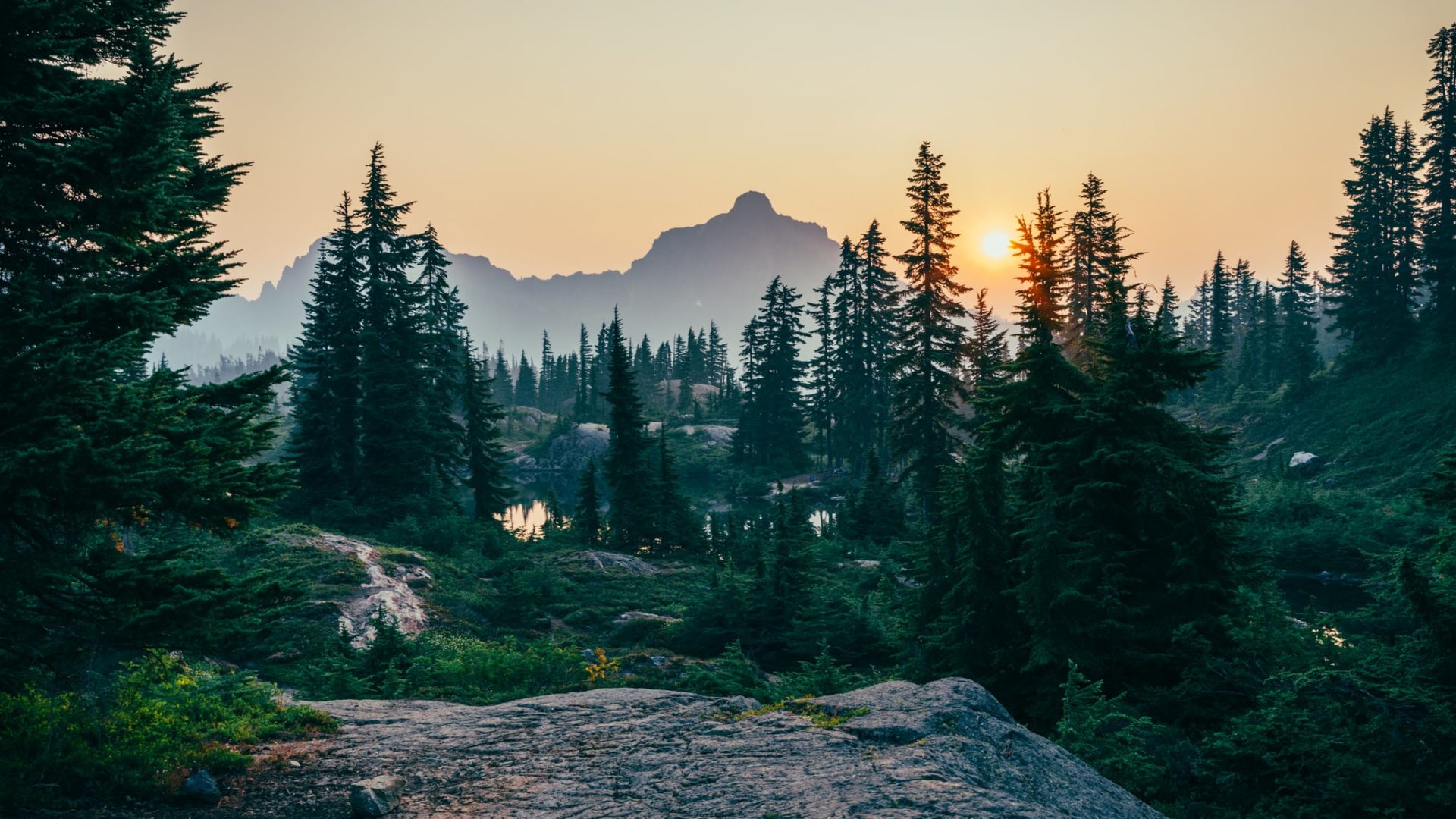 Paysage de montagne au coucher du soleil, derrière une forêt de conifères.